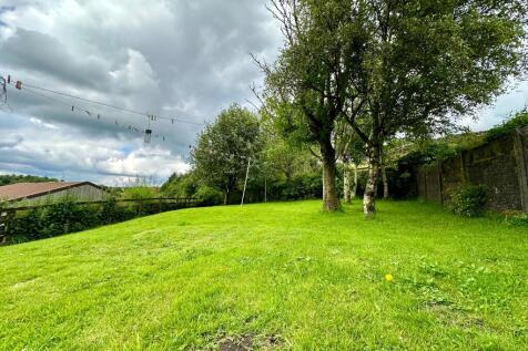 Photograph 61
