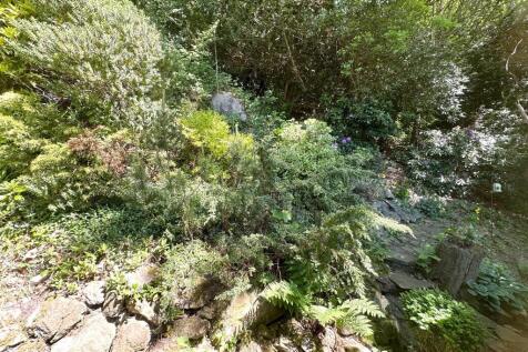Photograph 24