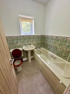 Photograph 11