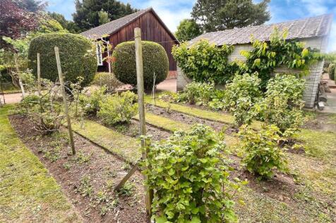 Fruit Beds