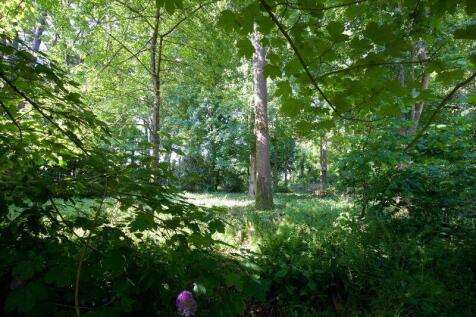 Grounds