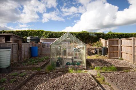 Vegetable Garden