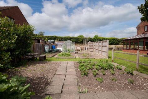 Vegetable Garden 