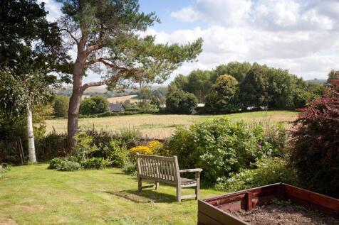 Garden / View
