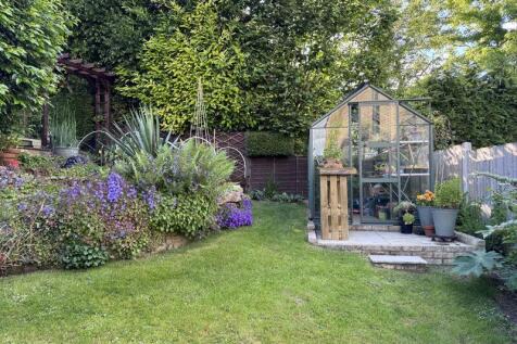 Garden in Summer