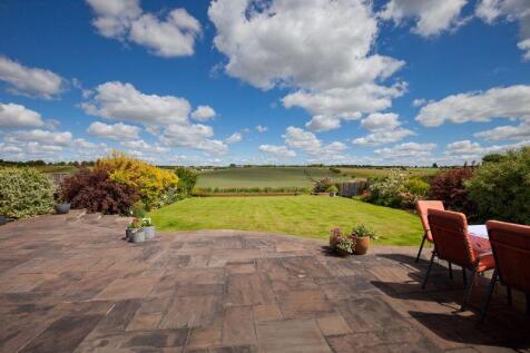Garden with View 