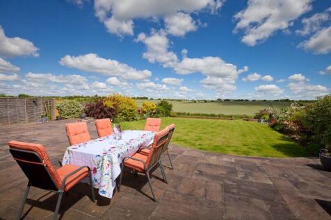 Garden with View 