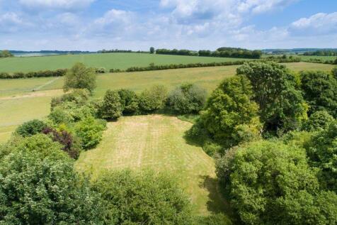 Garden / View