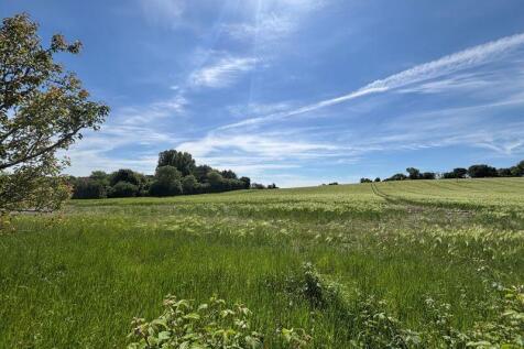 View from Garden