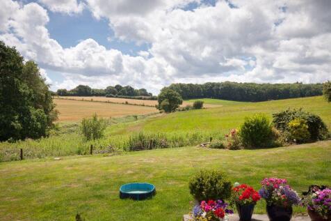 Garden / View