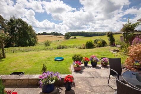 Garden/View