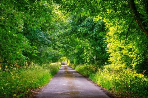 Approach to Property 
