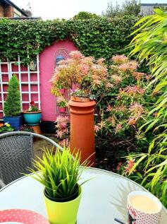 Property Image 50