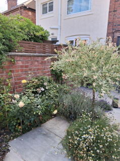 Property Image 44