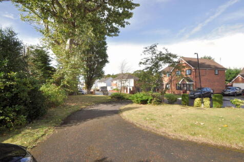 Property Image 41