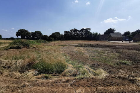 Site