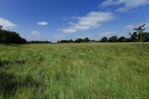 Site