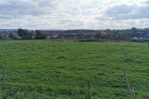 NE Field