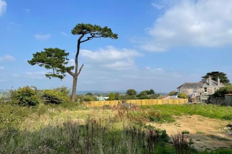 view across site