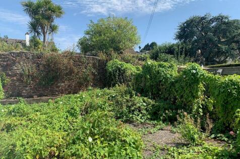View of plot