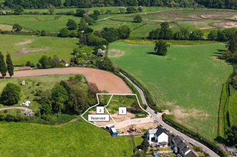 view across plots
