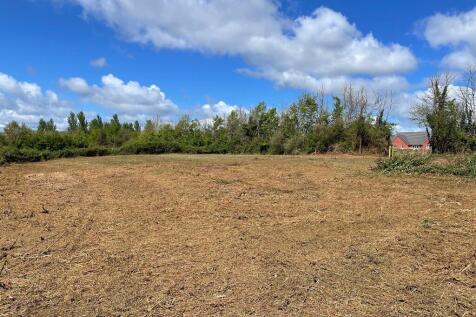 view across site