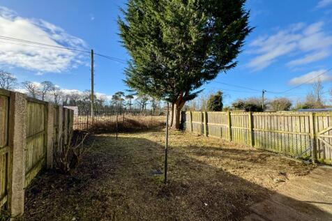 Rear garden.