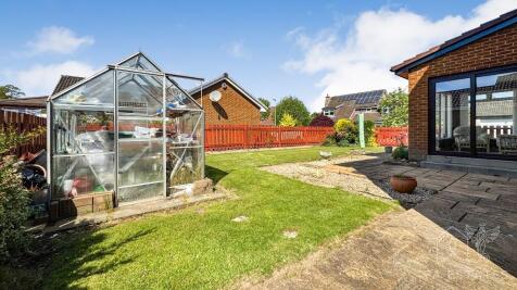 Rear garden.