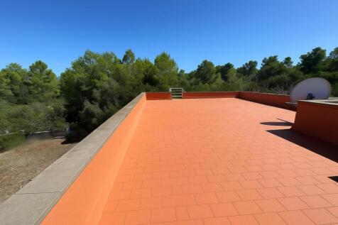 terraza lip