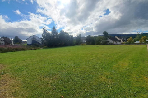 Communal Lawn 