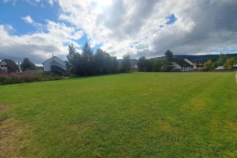Communal Lawn 