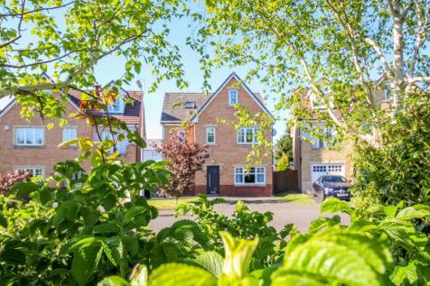Property Image 32