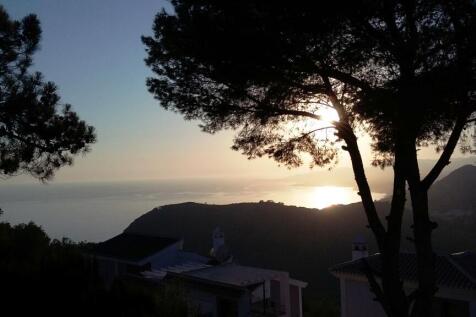 Sunset from plot