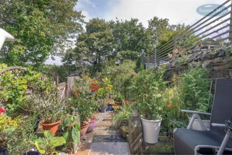 ash - garden 8251.jpg