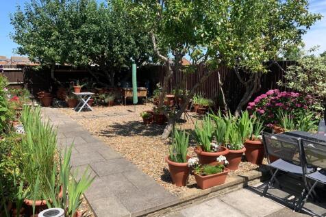 51shakegarden