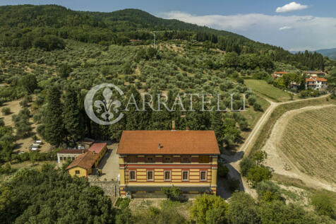 Firenze azienda viti