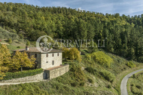 Azienda vitivinicola