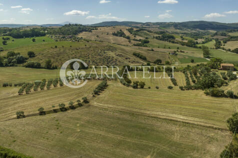 Rudere panoramico co