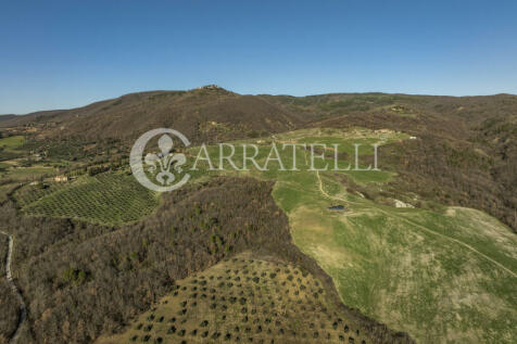 Val D Orcia Azienda 