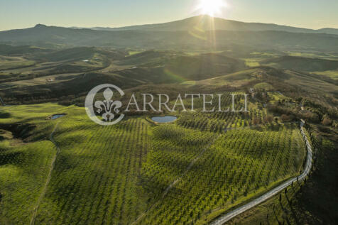 Val D Orcia Azienda 