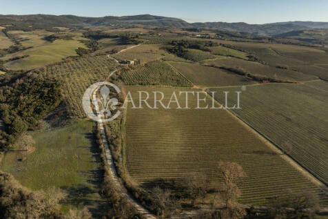 Montalcino Azienda v