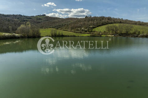 Arezzo azienda vitiv