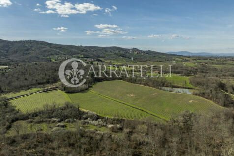 Arezzo azienda vitiv