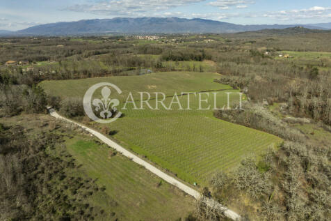 Arezzo azienda vitiv