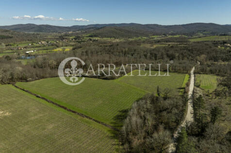 Arezzo azienda vitiv