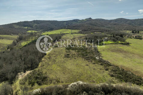 Arezzo azienda vitiv