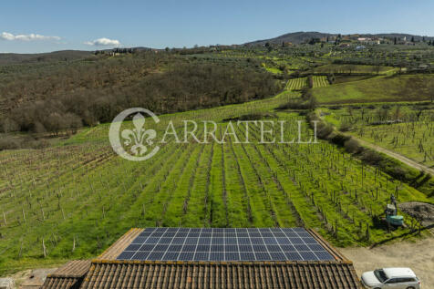 Arezzo azienda vitiv