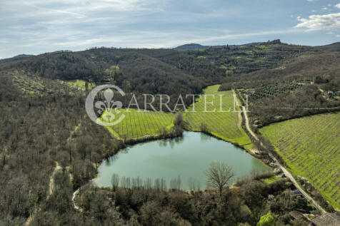 Arezzo azienda vitiv