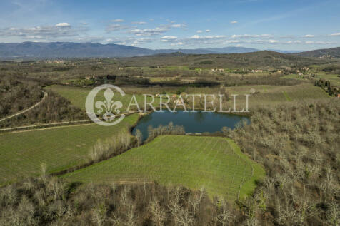 Arezzo azienda vitiv