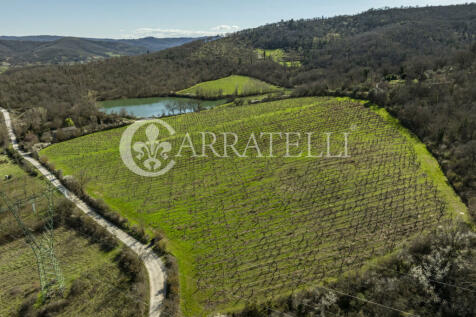 Arezzo azienda vitiv